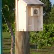 May 2010: No vacancy