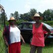 Vineyard visitors II